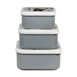 Bear Adventure Lunch Boxes - Set of 3