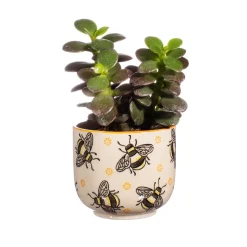 Busy Bees Small Planter