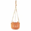 Cat's Whiskers Terracotta Hanging Planter