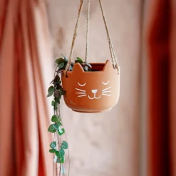 Cat's Whiskers Terracotta Hanging Planter