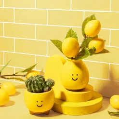 Happy Planter