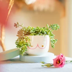 Large Girl Power Boobies White Planter