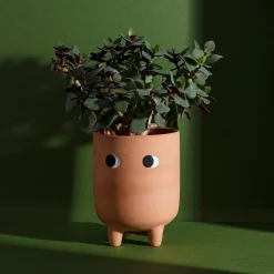 Leggy Terracotta Planter