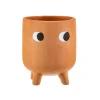 Little Leggy Terracotta Planter