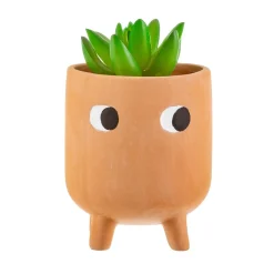 Little Leggy Terracotta Planter