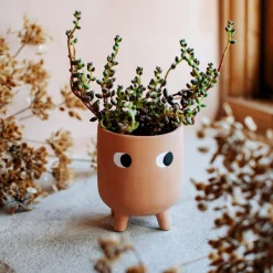 Little Leggy Terracotta Planter