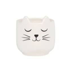 Mini Cat's Whiskers White Planter
