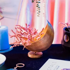 Mini Celestial Moon Gold Planter