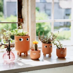 Mini Eyes Shut Terracotta Planter