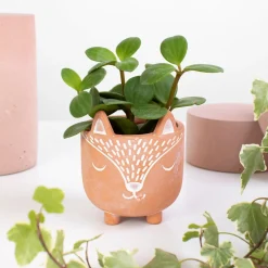 Mini Woodland Fox Terracotta Planter