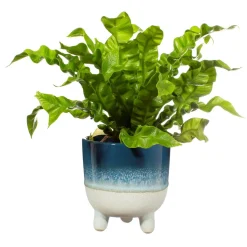 Mojave Glaze Blue Large Planter on Legs