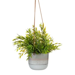 Mojave Grey Hanging Planter