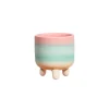 Pastel Ombre Leggy Planter Small
