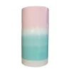 Pastel Ombre Vase Pink & Green
