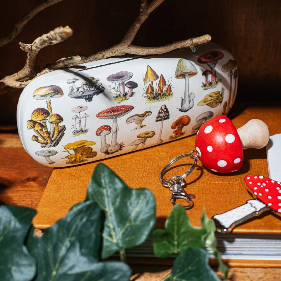 Vintage Mushroom Glasses Case