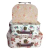 Vintage Rose Suitcases - Set of 3